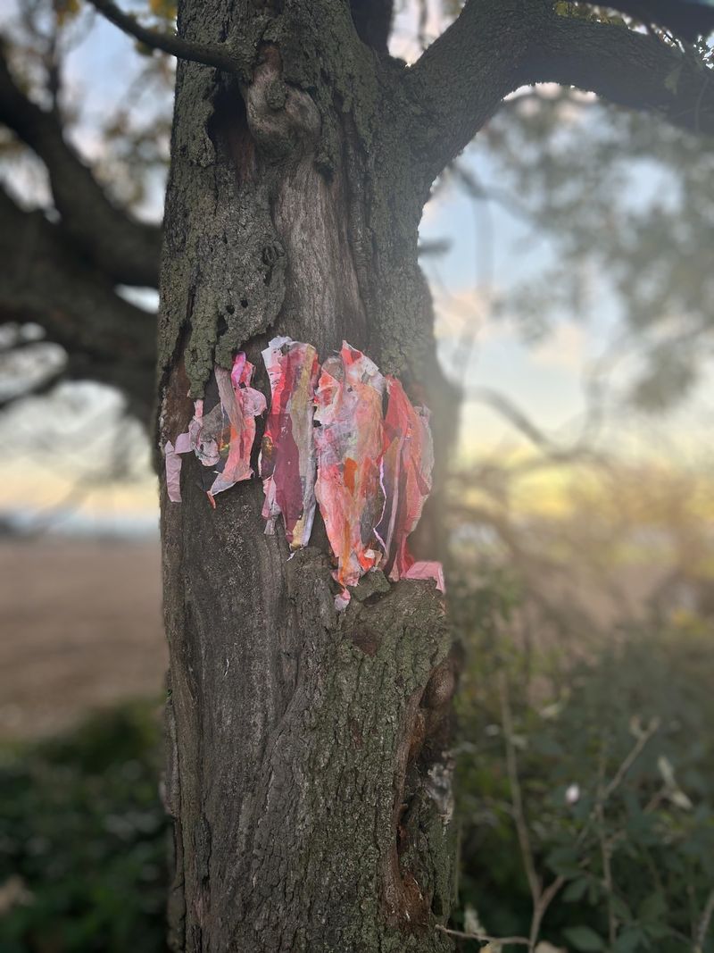 © Philippa Armstrong - Image from the On My Skin photography project