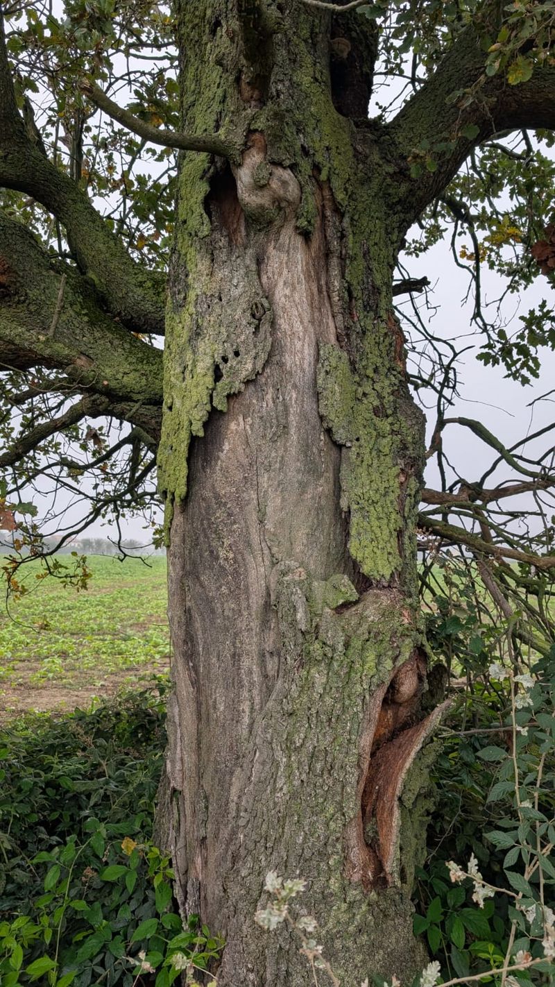 © Philippa Armstrong - Image from the On My Skin photography project