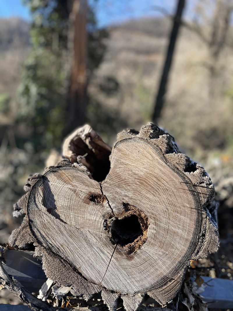 © Philippa Armstrong - Image from the On My Skin photography project