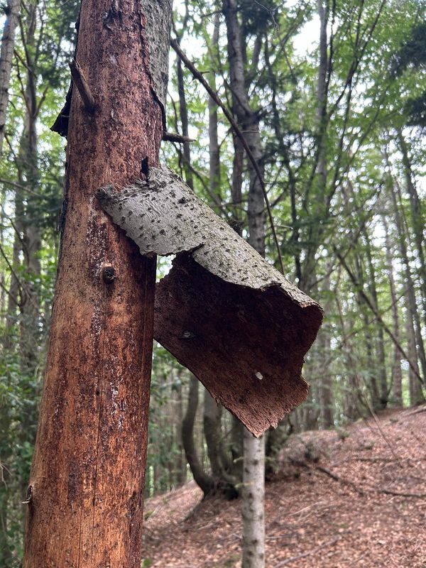 © Philippa Armstrong - Image from the On My Skin photography project