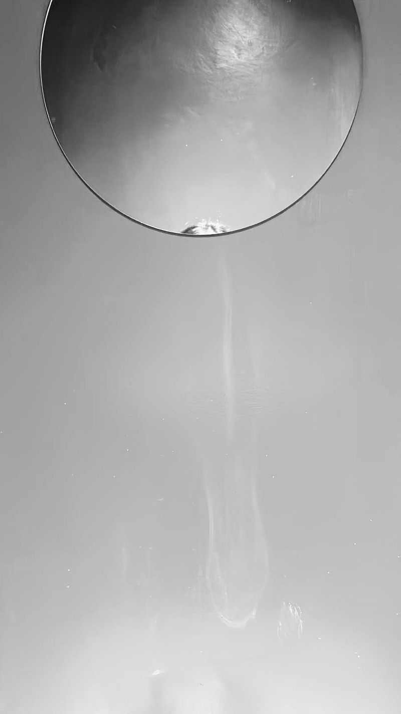 © Philippa Armstrong - Head eclipse