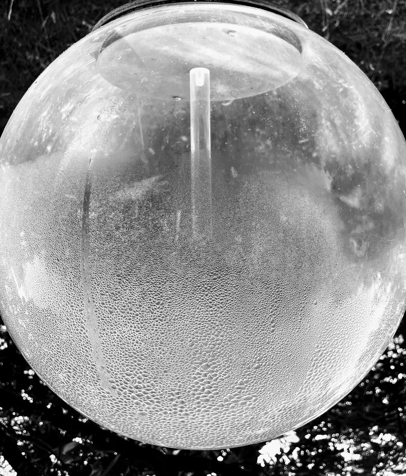 © Philippa Armstrong - Droplets of life