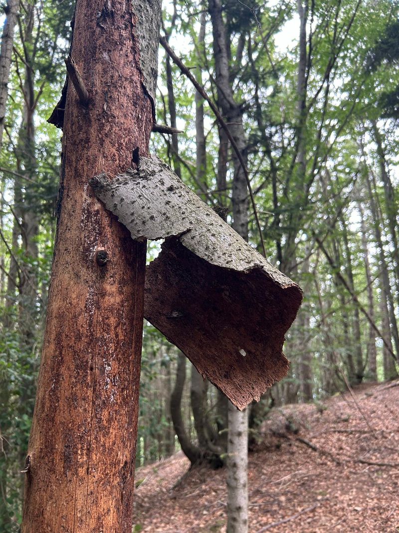 © Philippa Armstrong - Image from the On My Skin photography project