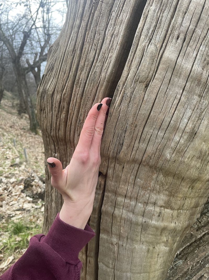 © Philippa Armstrong - Image from the On My Skin photography project