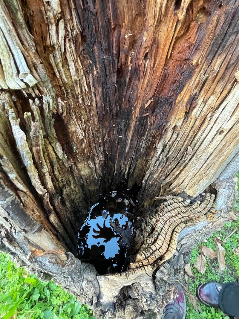 © Philippa Armstrong - Image from the On My Skin photography project