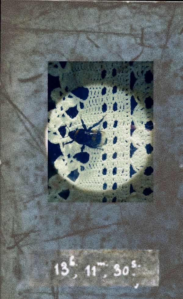 © Philippa Armstrong - Image from the Native exile photography project