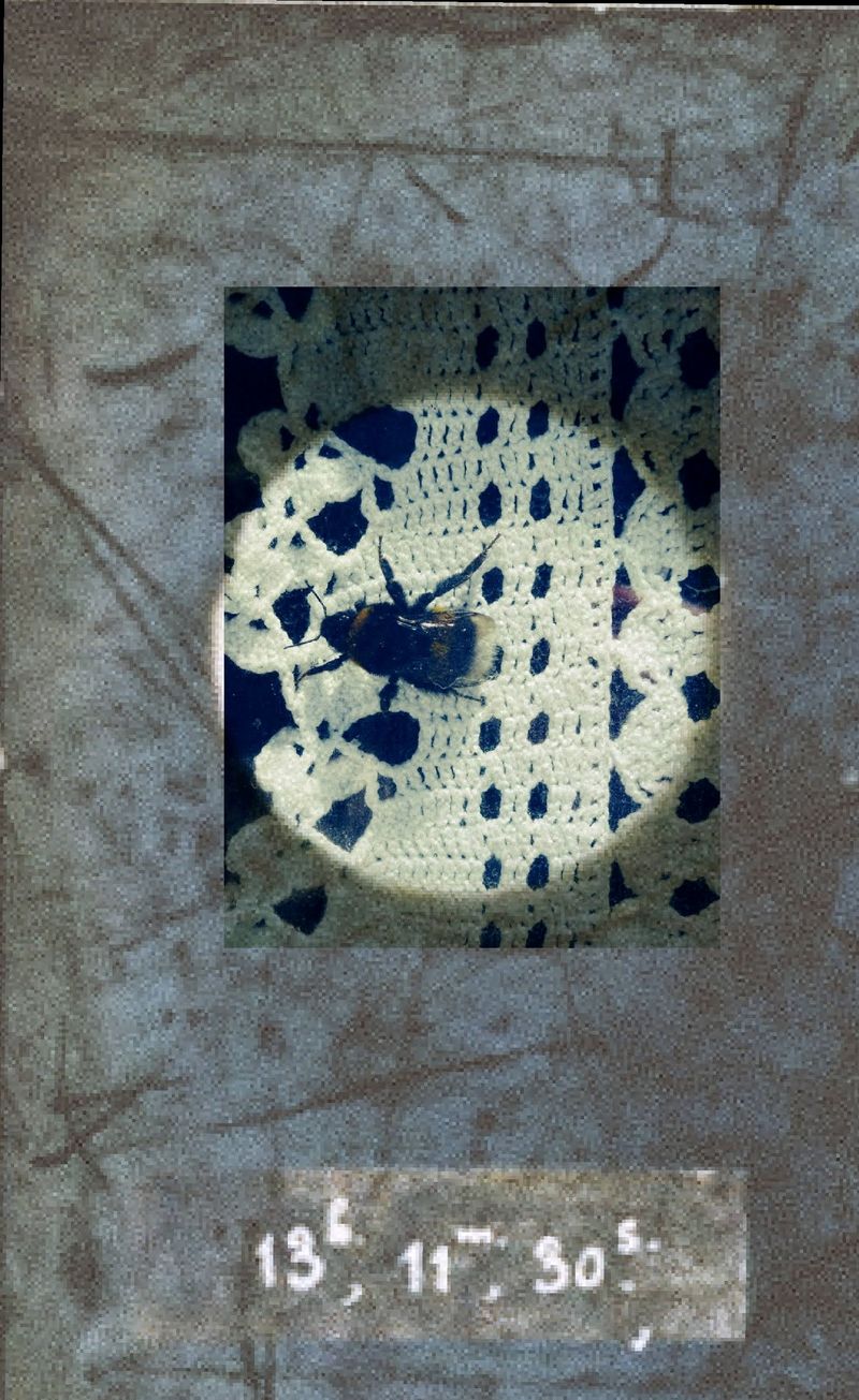 © Philippa Armstrong - Image from the Native exile photography project