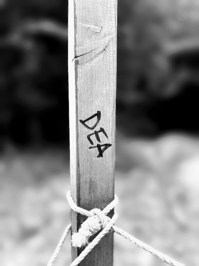 © Philippa Armstrong - Image from the Native exile photography project