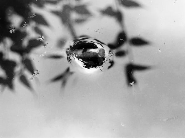 © Philippa Armstrong - Image from the Native exile photography project