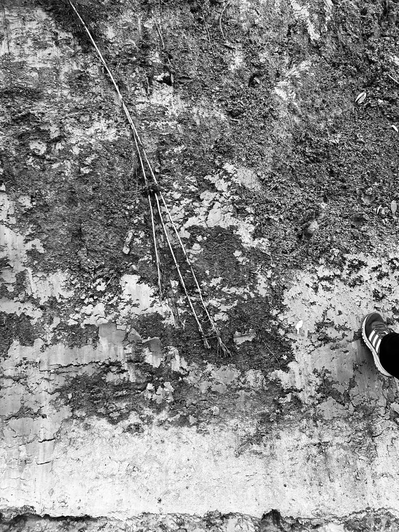 © Philippa Armstrong - Image from the Permeable borders photography project