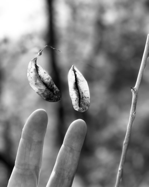 © Philippa Armstrong - Image from the Permeable borders photography project