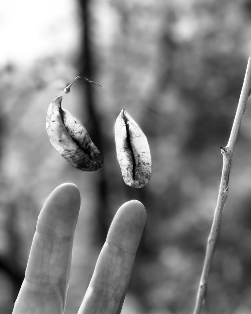 © Philippa Armstrong - Image from the Permeable borders photography project