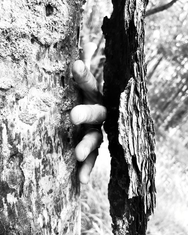 © Philippa Armstrong - Image from the Permeable borders photography project