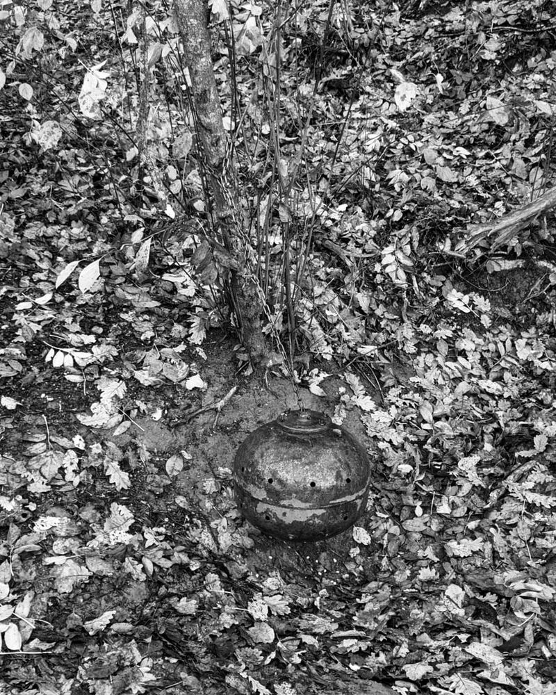 © Philippa Armstrong - Image from the Perforations photography project