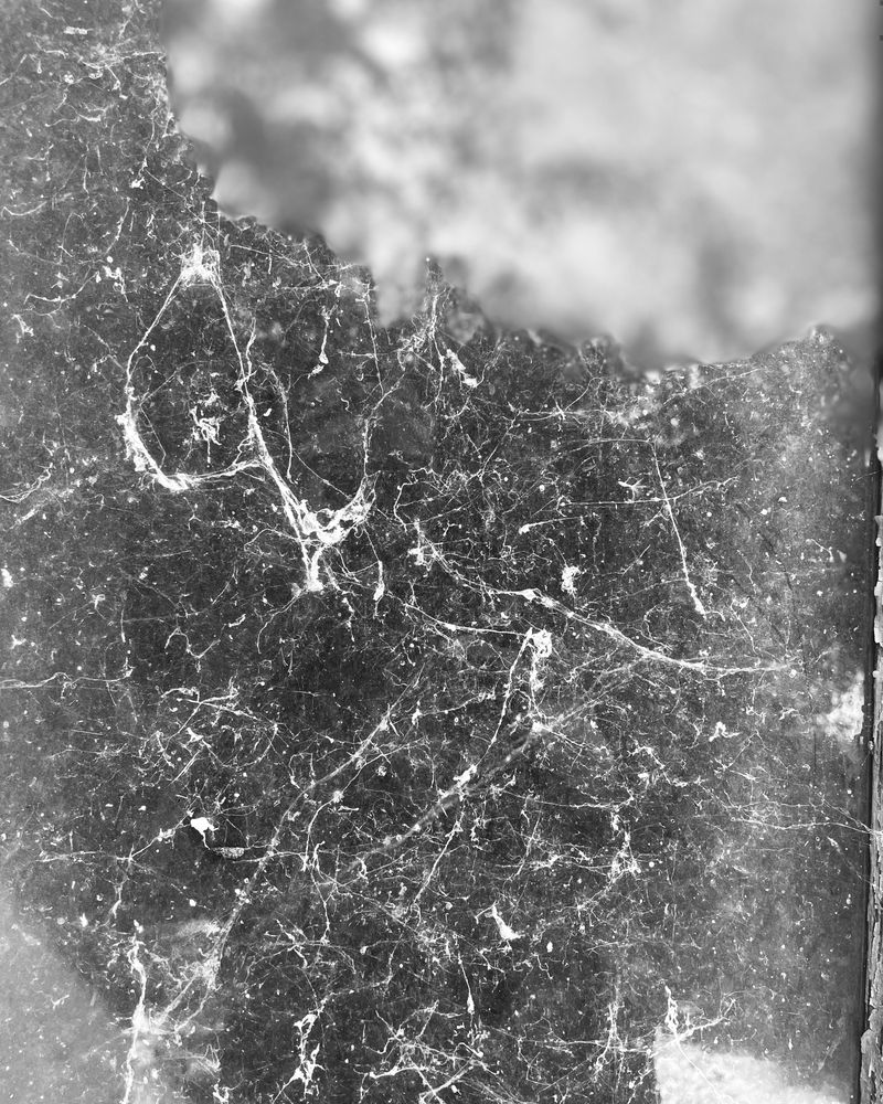 © Philippa Armstrong - Image from the Perforations photography project