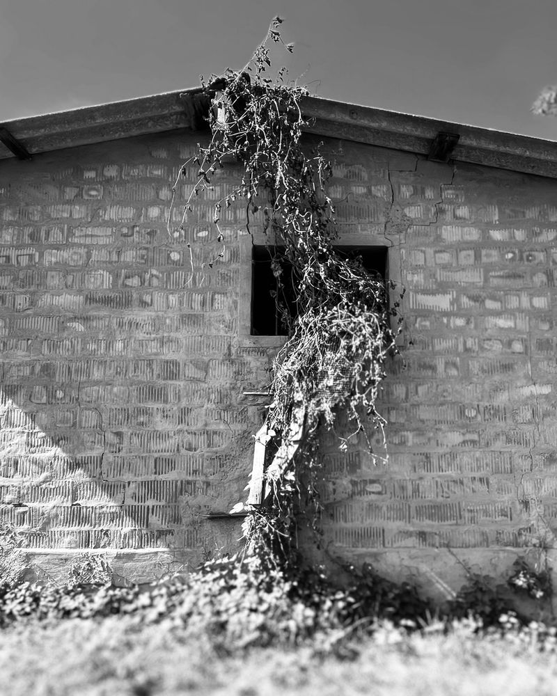 © Philippa Armstrong - Image from the Perforations photography project