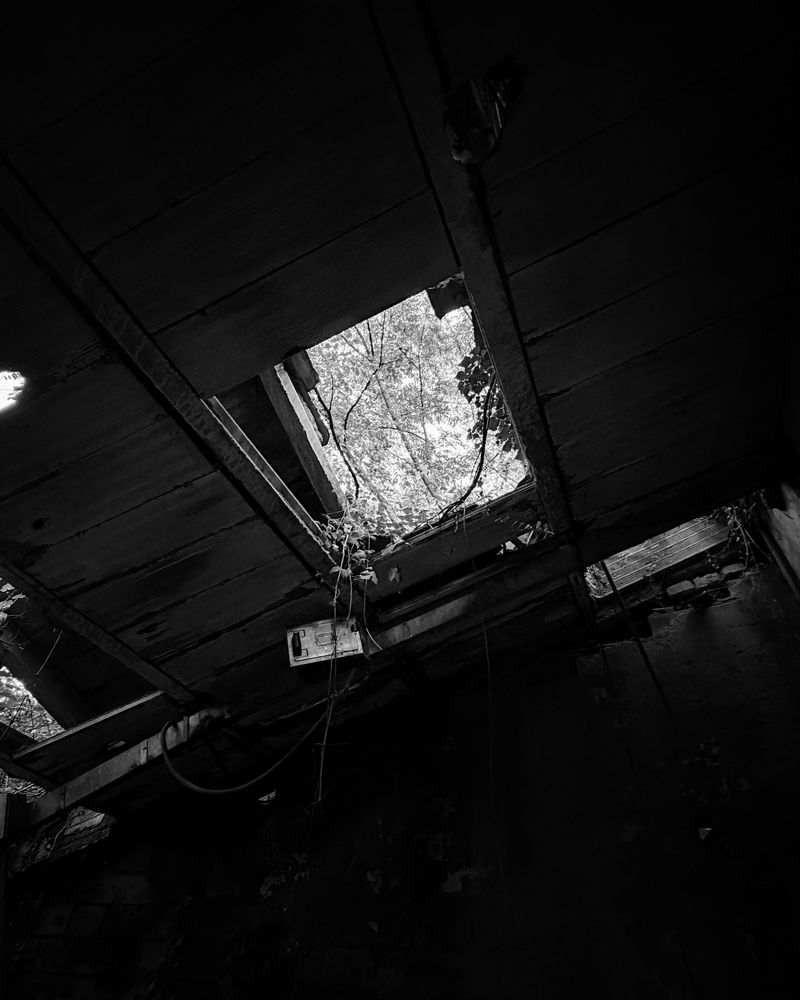 © Philippa Armstrong - Image from the Perforations photography project