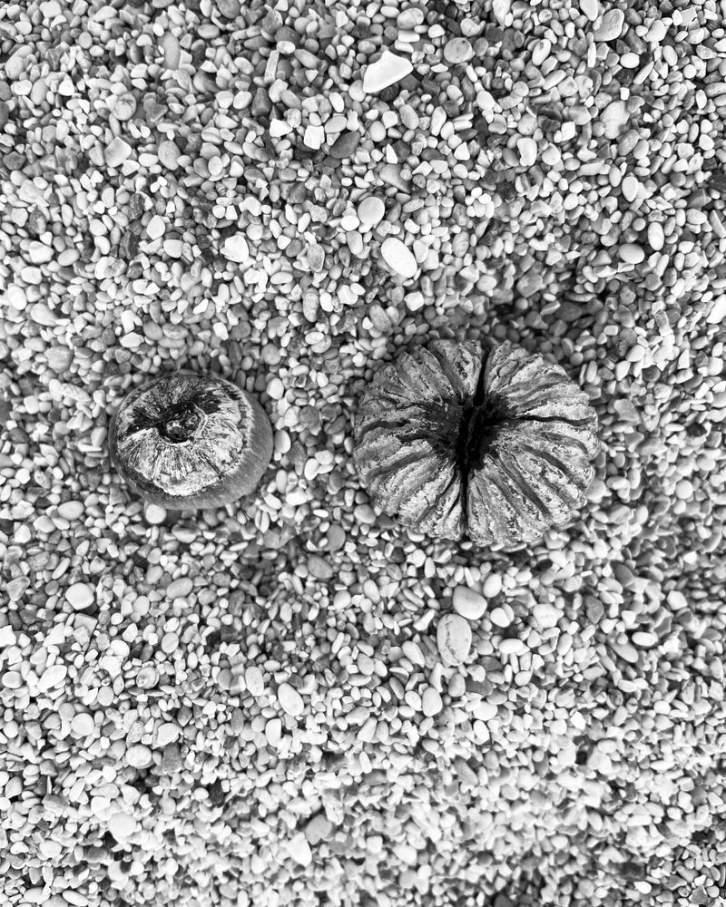 © Philippa Armstrong - Image from the Perforations photography project