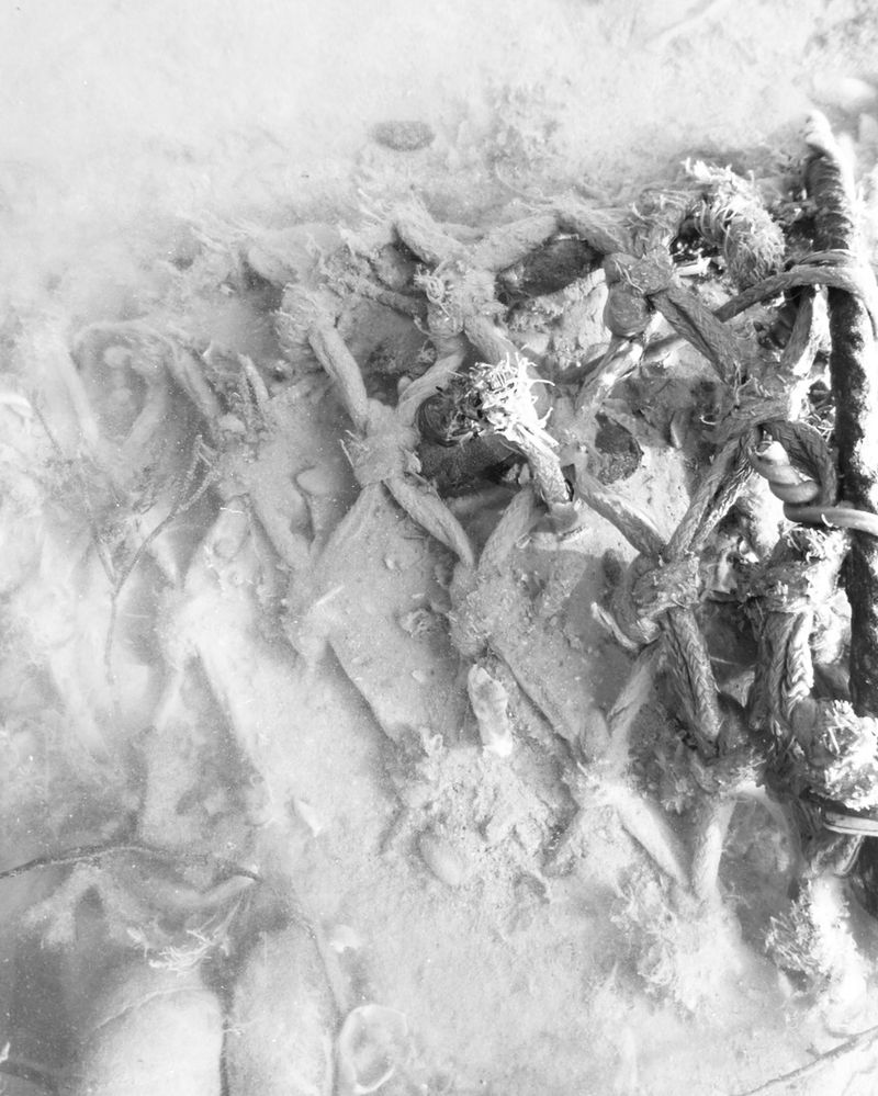 © Philippa Armstrong - Image from the Perforations photography project