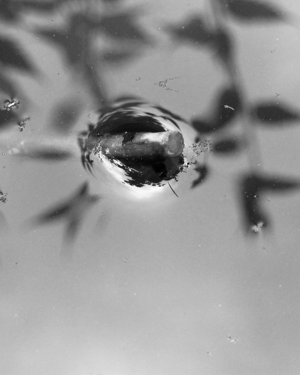 © Philippa Armstrong - Image from the Perforations photography project