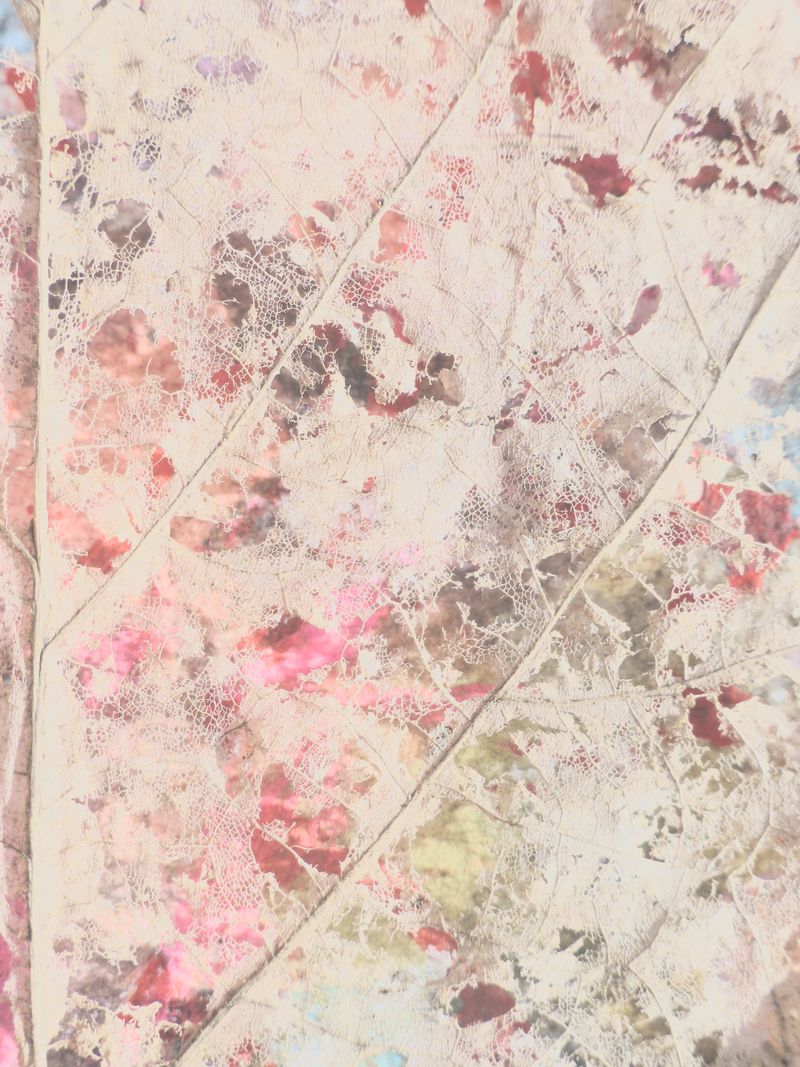 © Philippa Armstrong - Image from the The Giants Breath photography project