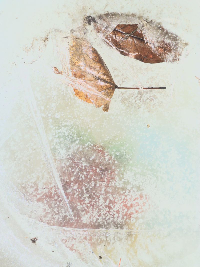 © Philippa Armstrong - Image from the The Giants Breath photography project