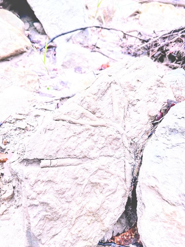 © Philippa Armstrong - Image from the The Giants Breath photography project