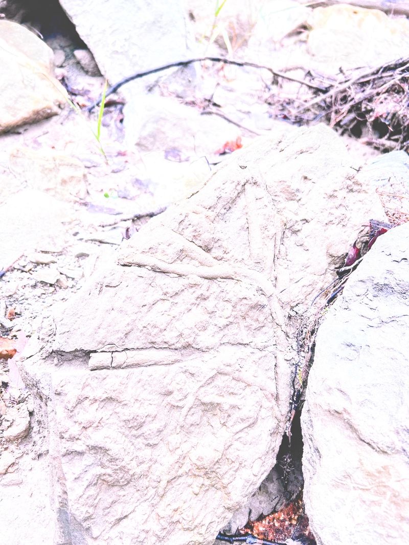 © Philippa Armstrong - Image from the The Giants Breath photography project