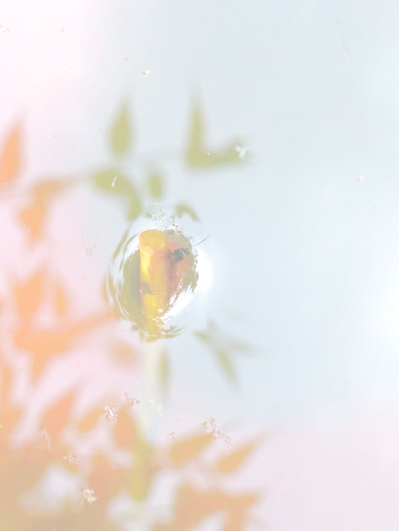 © Philippa Armstrong - Image from the The Giants Breath photography project