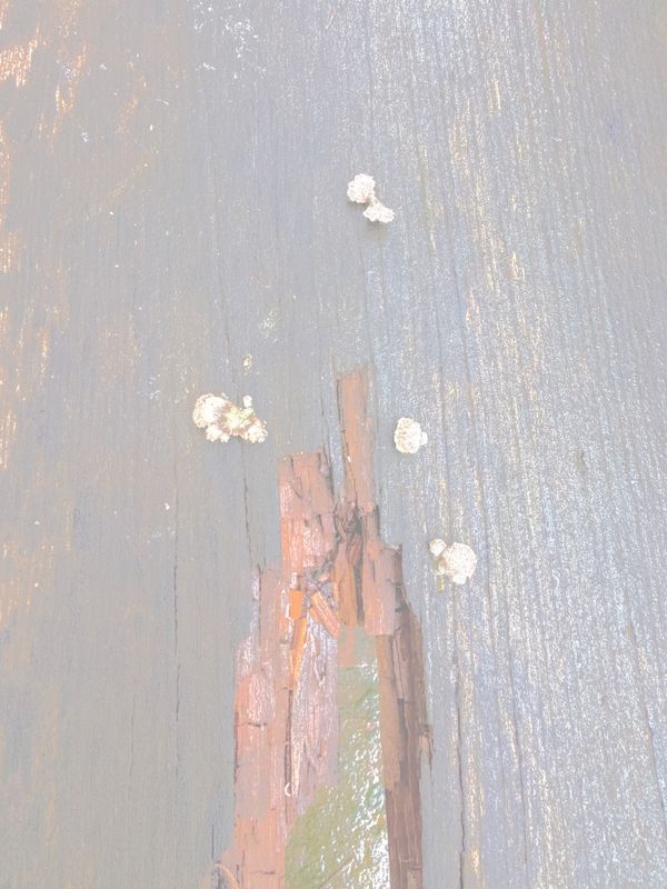 © Philippa Armstrong - Image from the The Giants Breath photography project