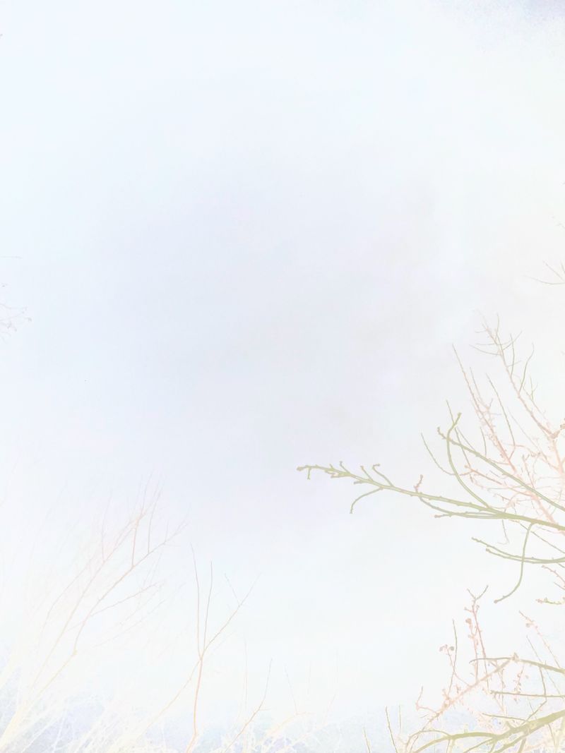 © Philippa Armstrong - Image from the The Giants Breath photography project