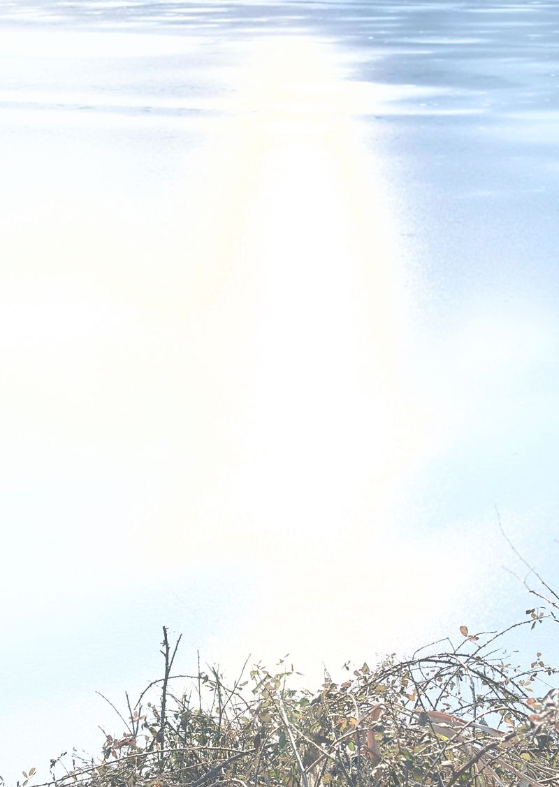 © Philippa Armstrong - Image from the The Giants Breath photography project