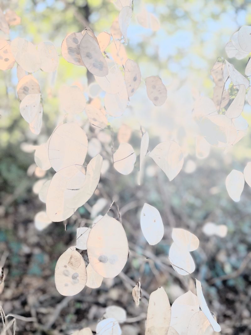 © Philippa Armstrong - Image from the The Giants Breath photography project