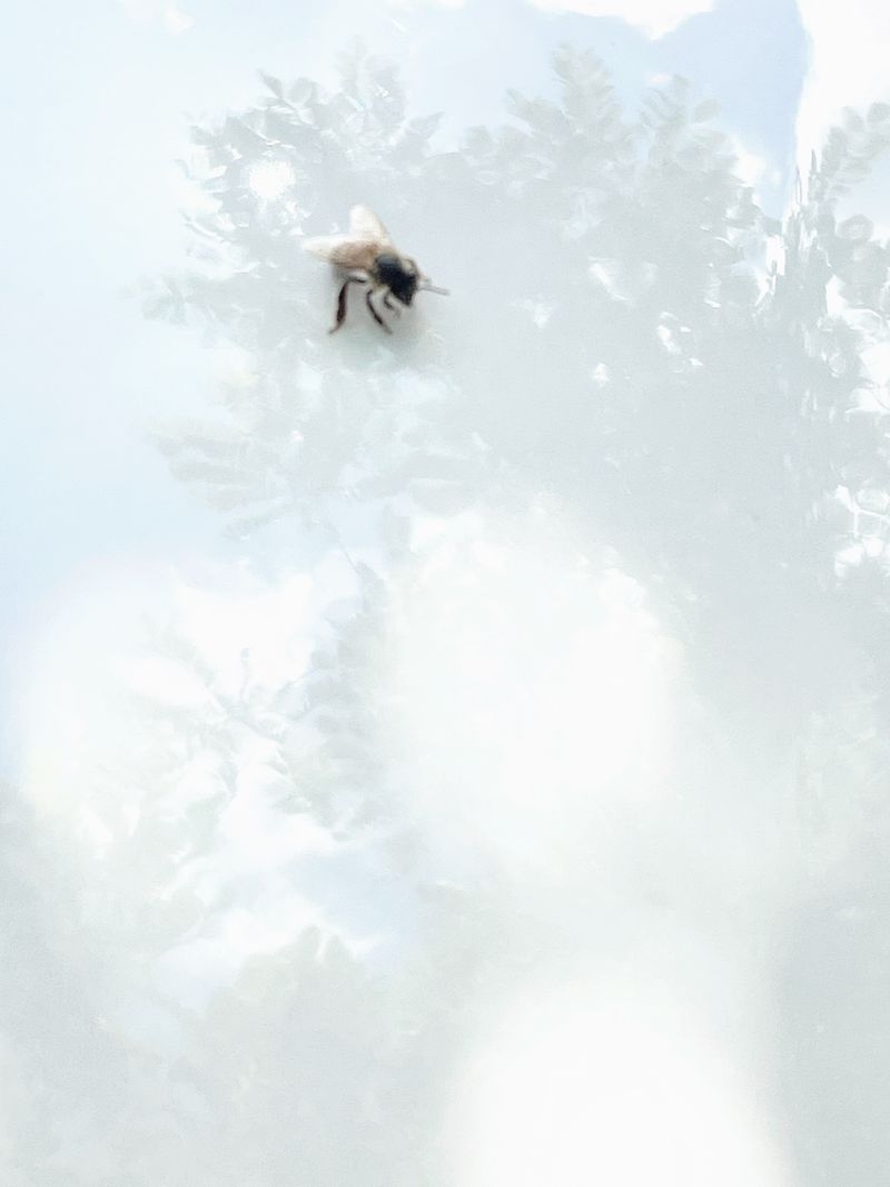 © Philippa Armstrong - Image from the The Giants Breath photography project