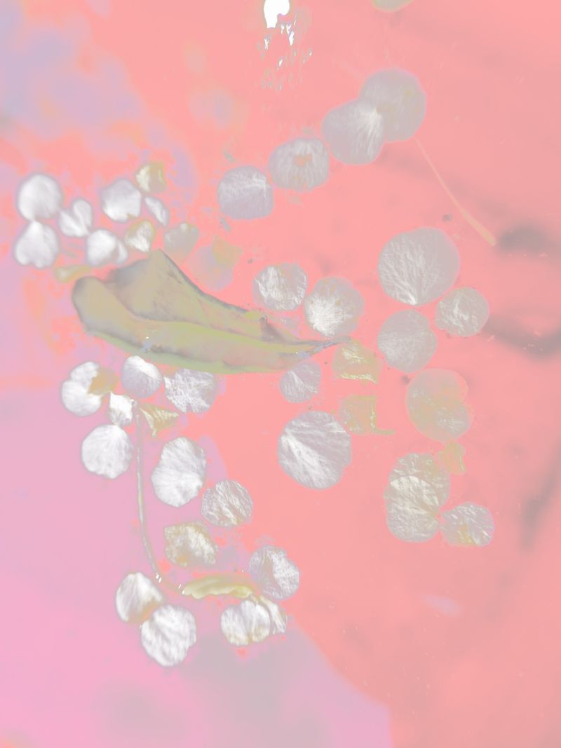 © Philippa Armstrong - Image from the The Giants Breath photography project