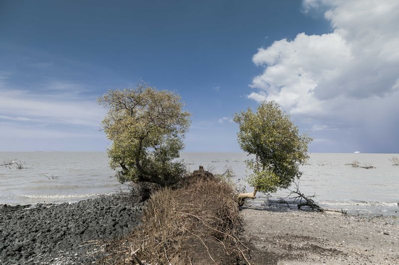 © Irene Barlian - Image from the Land of The Sea photography project