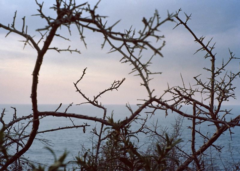 © Angèle Marignac-Serra - Image from the Isula Anima photography project