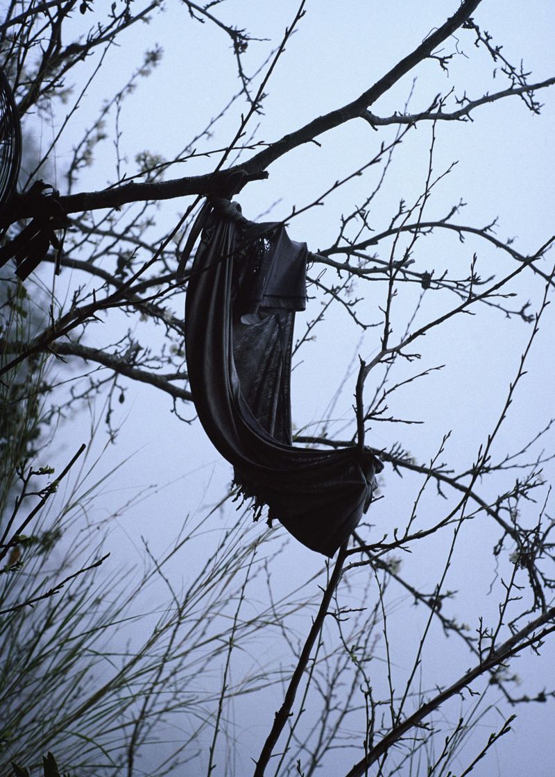 © Angèle Marignac-Serra - Image from the Isula Anima photography project