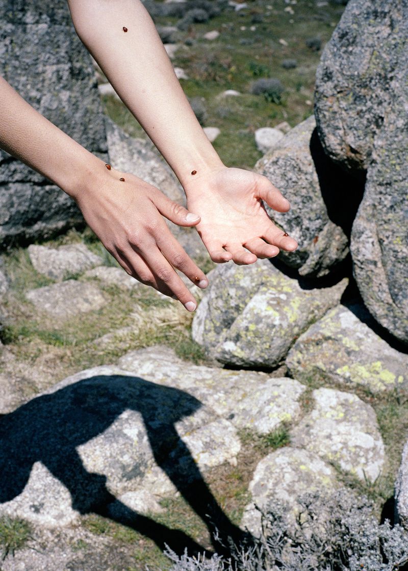 © Angèle Marignac-Serra - Image from the Isula Anima photography project