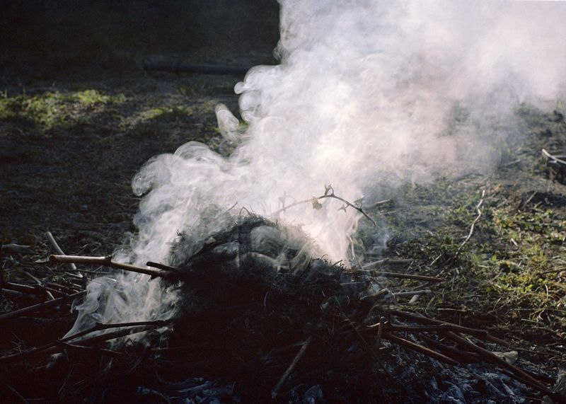 © Angèle Marignac-Serra - Image from the Isula Anima photography project