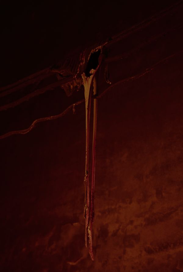 © Frederik Marks - Burnt Cables