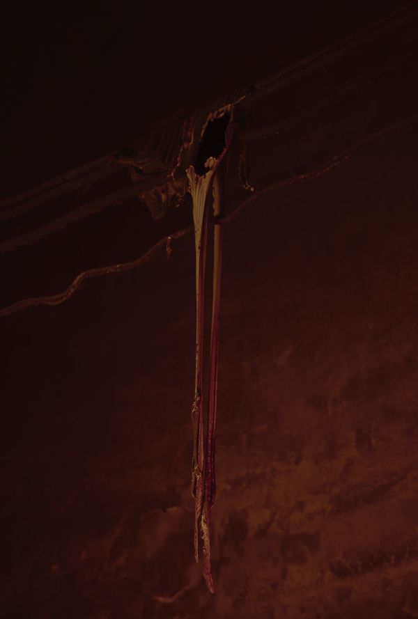 © Frederik Marks - Burnt Cables