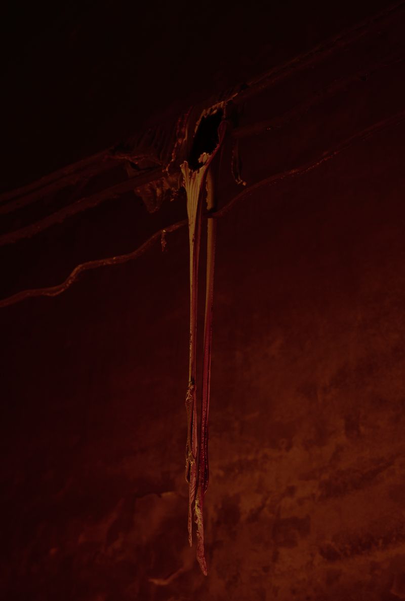 © Frederik Marks - Burnt Cables