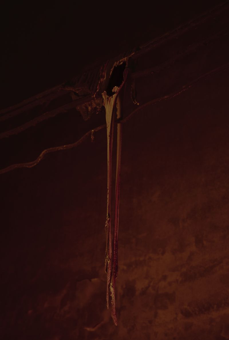 © Frederik Marks - Burnt Cables