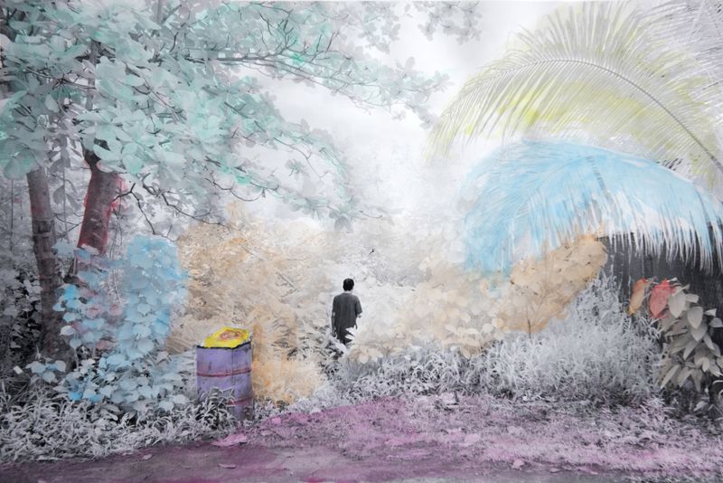 © Sanne De Wilde - Image from the THE ISLAND OF THE COLORBLIND photography project