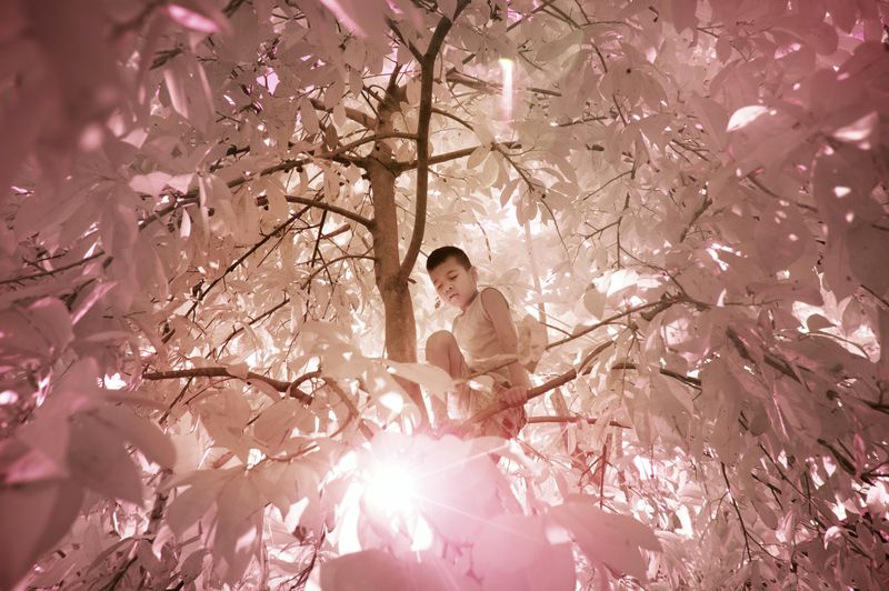 © Sanne De Wilde - Image from the THE ISLAND OF THE COLORBLIND photography project