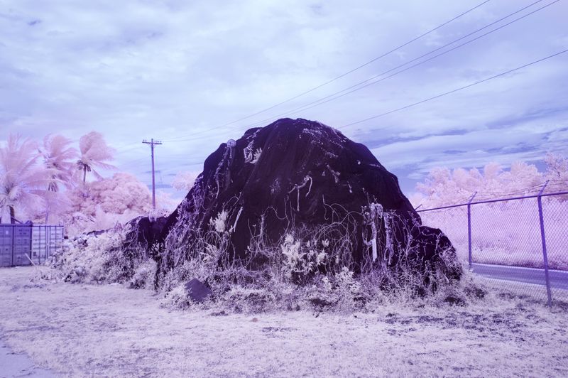 © Sanne De Wilde - Image from the THE ISLAND OF THE COLORBLIND photography project