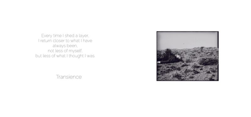 Image from a project on PhMuseum