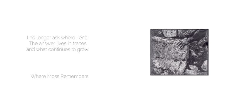 Image from a project on PhMuseum