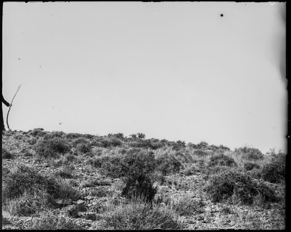 © Ton - Image from the Echoes of Self photography project